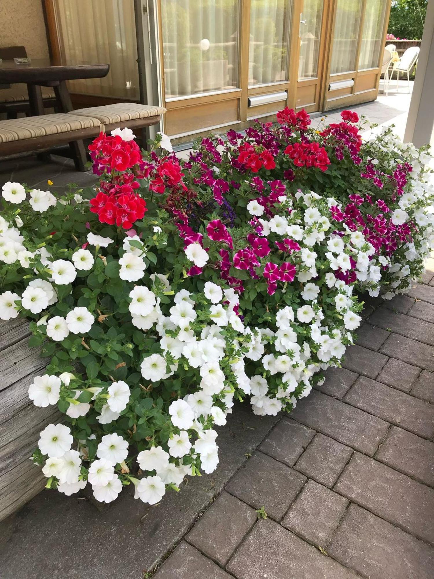 Sturmhof Hotell Klausen Exteriör bild